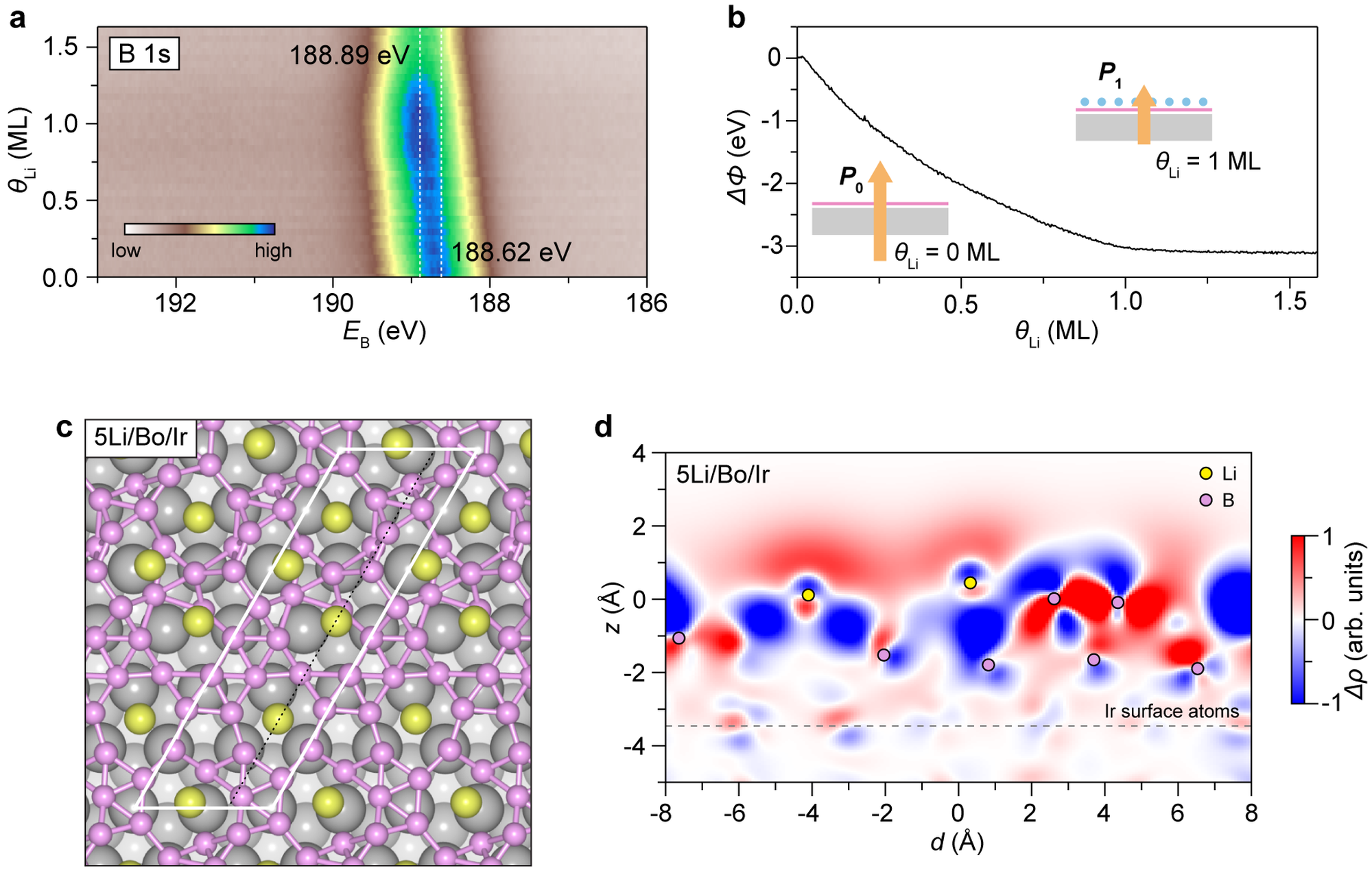 Multinational Team Reveals Mechanisms of Lithiation in Modulating the Structural and Electronic Properties of Borophene Using Synchrotron Techniques