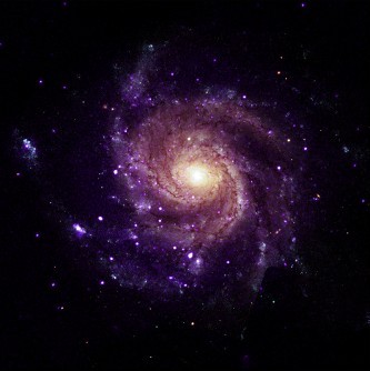 NASA's Chandra Telescope Discovers 84 Mysterious Supersoft X-ray Sources