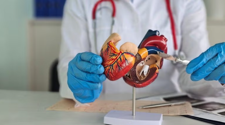 FDA Grants 510(k) Clearance to Emboliner System for TAVR Procedures