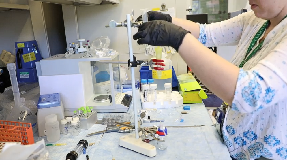 Le Laboratoire national d'Oak Ridge relance son générateur tungstène-188/rhénium-188 pour soutenir la recherche sur les traitements ciblés du cancer