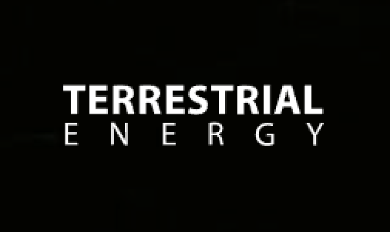 Terrestrial Energy представила в Комиссию по ядерному регулированию США тематический отчёт по графиту, продвигая процесс лицензирования интегрированного реактора на расплавах солей