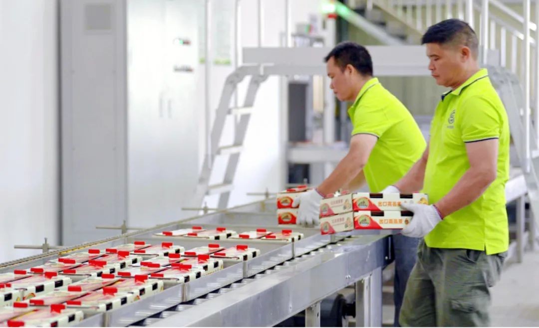 中国广核集团创新农产品电子束保鲜加工技术 助力乡村产业振兴