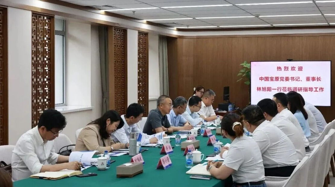林旭阳任中国宝原党委书记,董事长