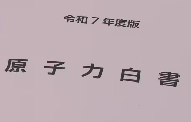 日本发布2025年核电白皮书,核燃料循环建设仍处初期