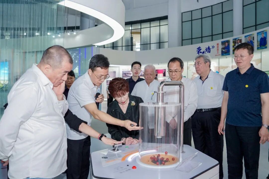 中国国民党前主席洪秀柱参访中广核阳江核电基地