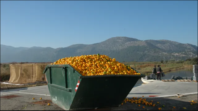 Nuclear science helps reduce global food spoilage and waste