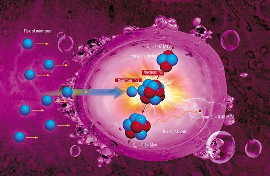 Russia's Vector Research Center Proposes Quantum Dots for Boron Delivery in Neutron Capture Therapy