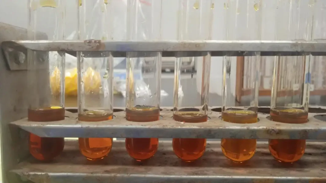Indonesia Develops Cobalt-60 Gamma Irradiation Technology to Boost Biodiesel Production from Waste Cooking Oil