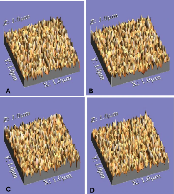 La radiothérapie fractionnée ne modifie pas significativement les propriétés de surface de deux types de matériaux composites dentaires