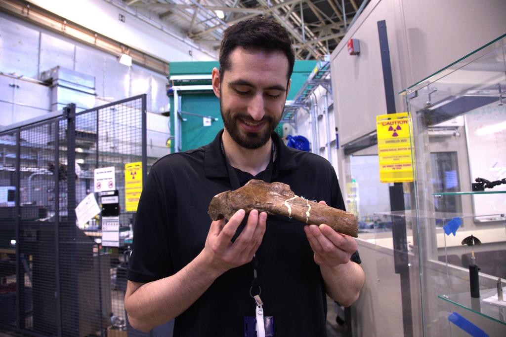 La technique d'imagerie neutronique de l'ORNL révèle des traces de guérison de côtes fossilisées de Tyrannosaure rex