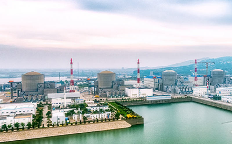徐大堡核电厂3号机组核岛基础浇筑第一罐混凝土前准备情况核安全检查报告