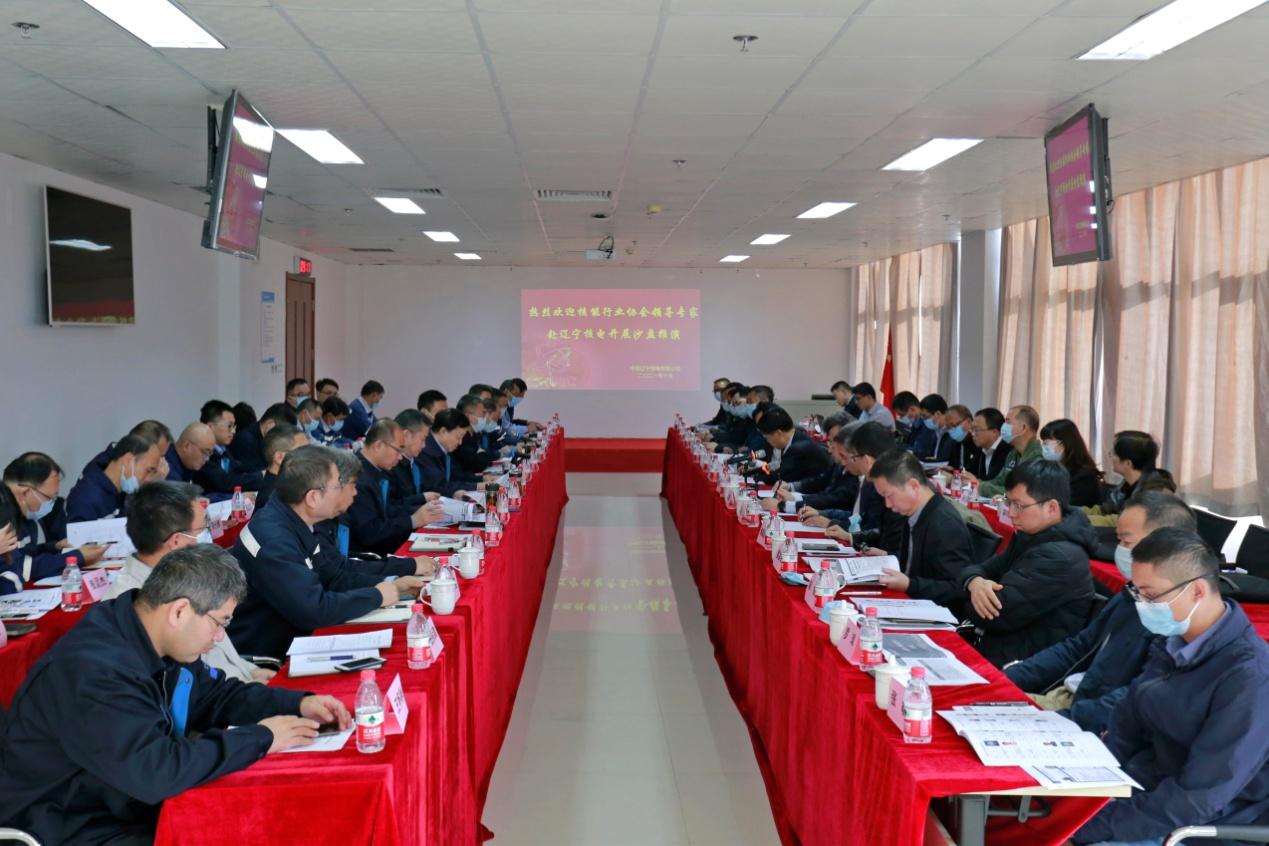 中国核能行业协会对徐大堡3、4号机组开展工程建设沙盘推演