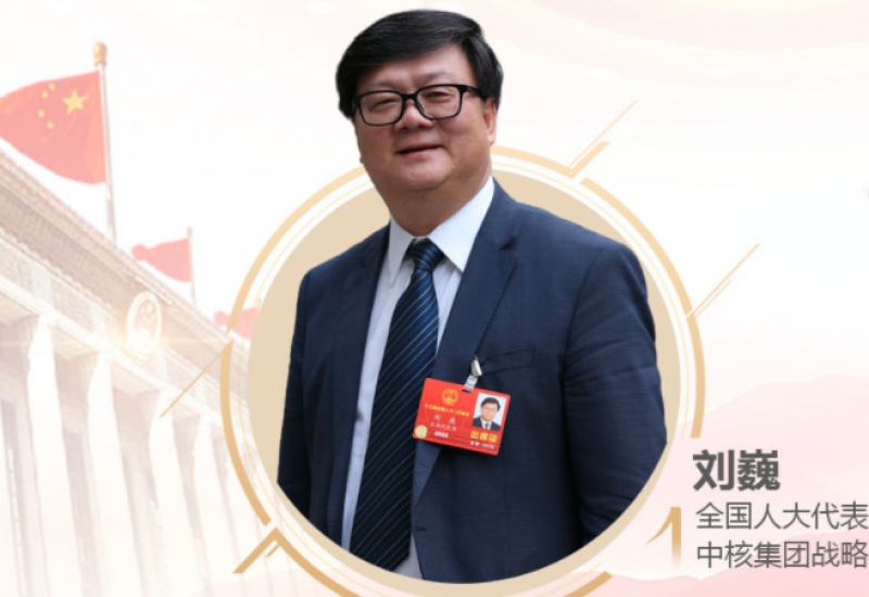 全国人大代表刘巍：《关于尽快启动湖南桃花江核电项目建设的建议》