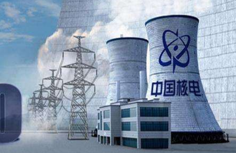 中国核电：公司研发投入均为公司自有资金，没有银行贷款