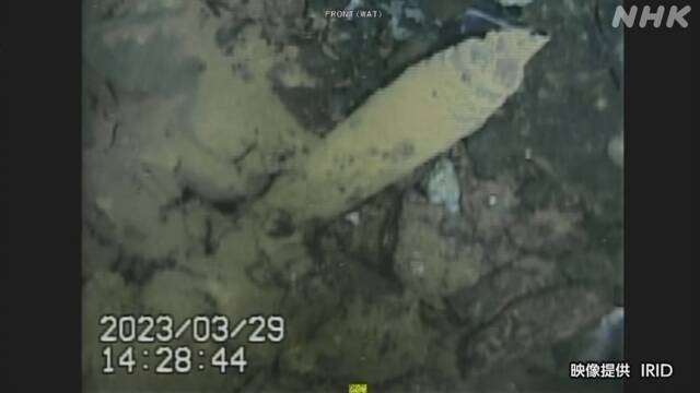 日本福岛核电站燃料碎片清除难