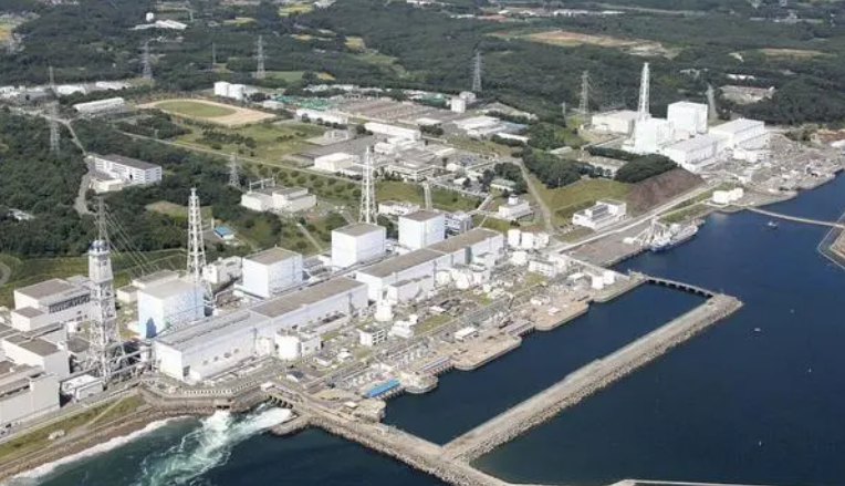 媒体：IAEA总干事称专家对日本核水排海报告没有分歧