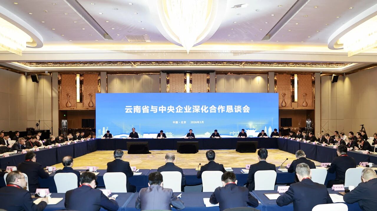 温枢刚出席云南省与中央企业深化合作恳谈会并发言