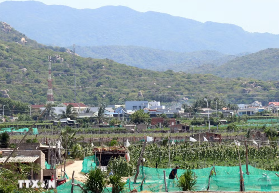 越南宁顺核电项目清障遇阻，庆和省成立专班推进用地交付